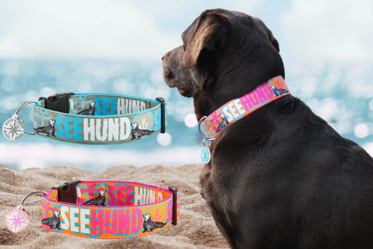 Salzwasserfeste Halsbänder